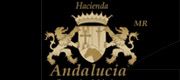  - haciendaandalucia1